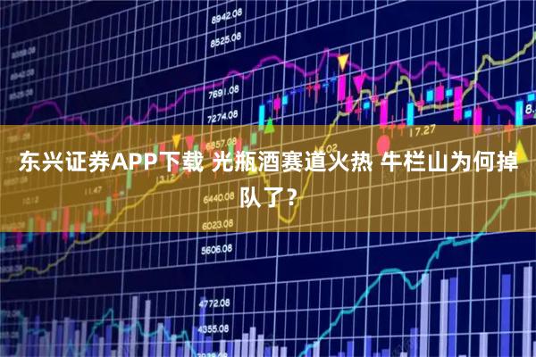 东兴证券APP下载 光瓶酒赛道火热 牛栏山为何掉队了？